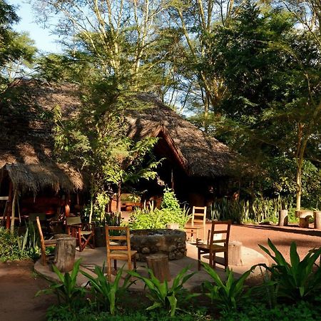 Migunga Tented Camp Mto wa Mbu Eksteriør billede
