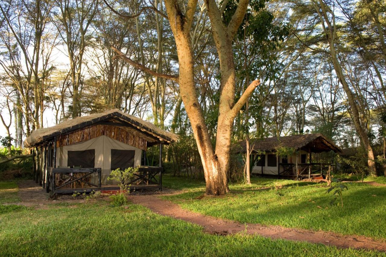 Migunga Tented Camp Mto wa Mbu Eksteriør billede